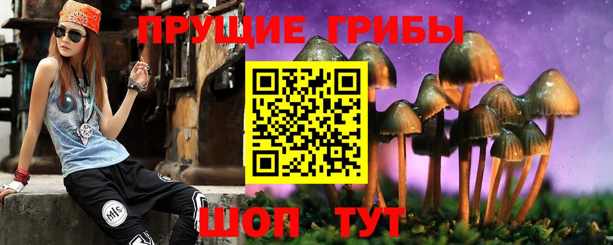 Псилоцибиновые грибы прущие грибы  Вход с VPN  Химки 
